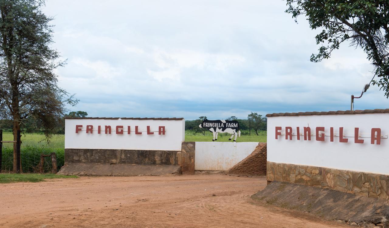 Fringilla Lodge Chisamba Exteriör bild
