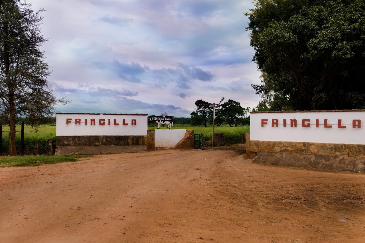 Fringilla Lodge Chisamba Exteriör bild