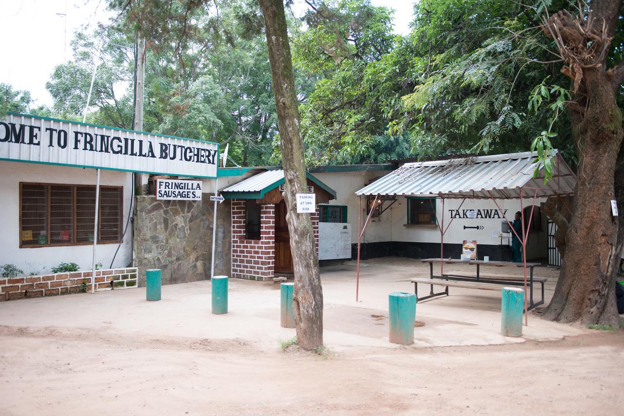 Fringilla Lodge Chisamba Exteriör bild